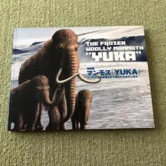 マンモス YUKA
