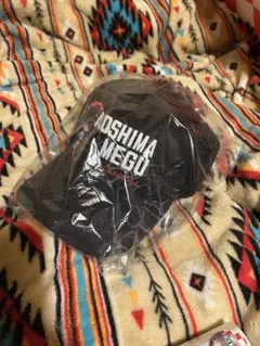 Aoshima Megu キャラクター付きキャップ新品　南海部品