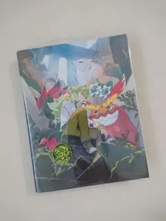 ポケモンカード N ファイル コイン 2点セット