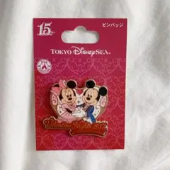 ディズニーシー　ピンバッジ　ValentineNight2017