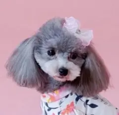 ひろ様 リクエスト 2点 まとめ商品