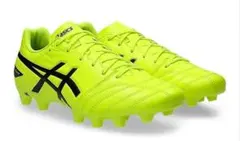 ASICS DS LIGHT ADVANCE WIDE 25.0cm