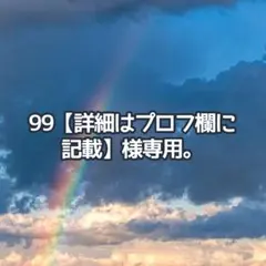 99【詳細はプロフ欄に記載】様専用ページ