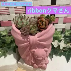 723☆ribbon鉢 pink モルタル雑貨 （お任せ植物付き） - メルカリ