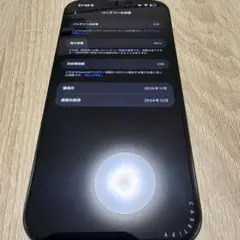 iPhone16 pro max 256GB