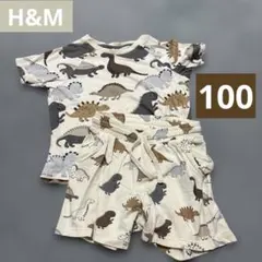 H&M 恐竜柄 半袖パジャマセット 100〜110cm ベージュ系 上下セット