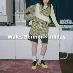 最終値下！約2.5万購入　Wales Bonner adidas tops