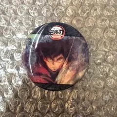 鬼滅の刃 水の呼吸ランダムアクションアニメーション缶バッジ D 冨岡義勇