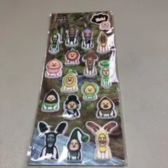 【正規品】こびとづかん 光る スペシャルもっちもちシール