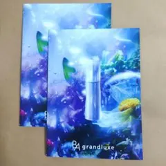 POLA　B.A グランラグゼ　サンプル2包