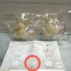 うちの子のけだまだま 犬 柴犬 2点セット