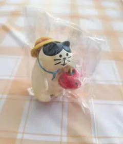 コンコンブル ❣️ (水遊び子猫)