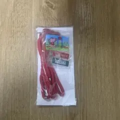 千葉ジェッツ　スマホショルダー