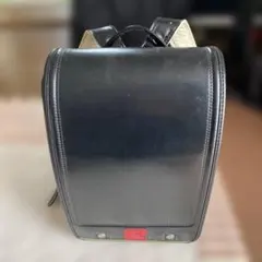 Item thumbnail for item 96529932-e77d-46d8-a3dd-cfc6ae90de75