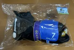 タイトーくじ HORSE HEROES A賞 イクイノックス