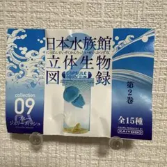 海洋堂 日本水族館立体生物図録 第2巻 ブルージェリーフィッシュ