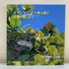 【写真集】ミャンマー チン州の蝶と自然に惹かれて 新井雅夫 希少本 昆虫 絶版