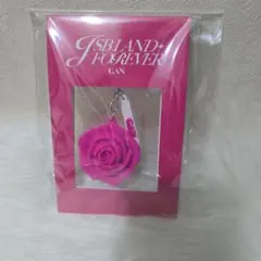登坂広臣 会場限定ローズキーホルダー JSB LAND FOREVER ♢ - メルカリ