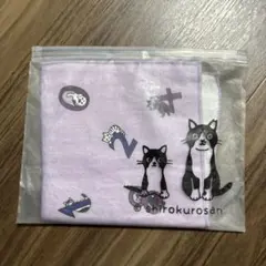 Item thumbnail for item 20480168-250f-4d56-8596-8aa42b9bae0b