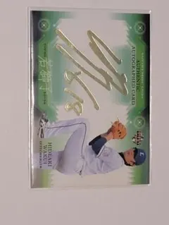 Item thumbnail for item 64f608f2-d441-41ac-bc67-bf3c0651fdba