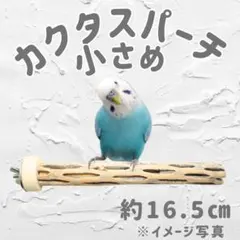 2026年最新】カクタスパーチの人気アイテム - メルカリ