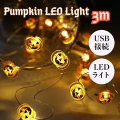 パンプキン LED ライト USB 3m 30LED ハロウィン カボチャ 電飾