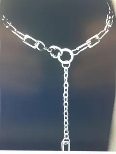 Item thumbnail for item ae314301-6b00-4a7f-8952-caf81e9ed8d4