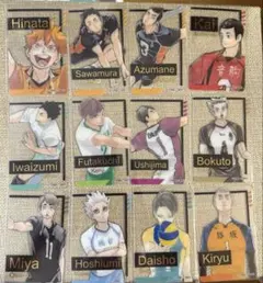 ハイキュー ファンパーク 箔押しクリアカードコレクション12枚セット