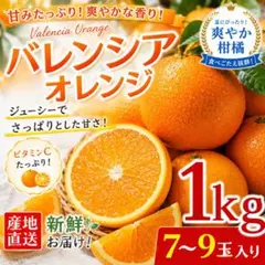 バレンシアオレンジ 約1kg 7〜9玉 ご家庭用のサムネイル