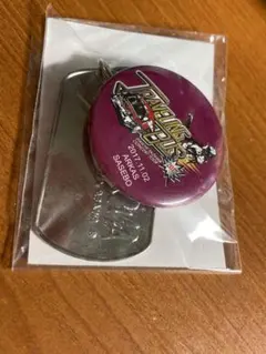 Item thumbnail for item 90ee21b0-1c38-478d-9691-2a9a4e94b6c9