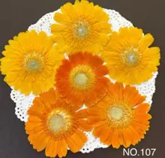 ポポポ様 リクエスト 2点 まとめ商品