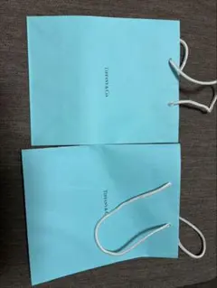 Tiffanyショッパー　2枚　美品のサムネイル