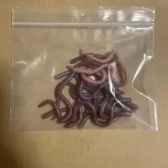 Item thumbnail for item 9cb1ce7c-b201-4057-82a4-a816b49b651e