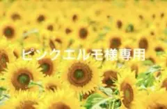 ピンクエルモ様専用