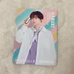 MEDULLA BUDDiiS ヘアカルテカード　HARUKI