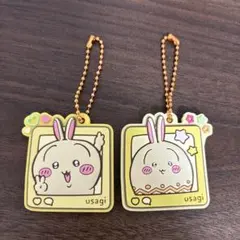 ちいかわ　ぷっくりラバマスグミ4