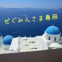 ぜぐみんさま専用