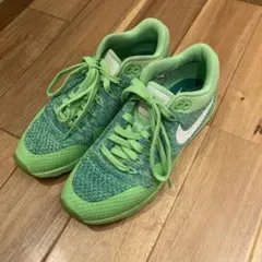 Nike Air Max 蛍光　緑色 スニーカー
