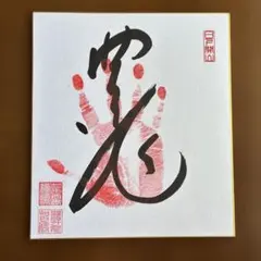 大相撲 横綱手形入り額装品 貴乃花 若乃花 曙サイン入り - メルカリ