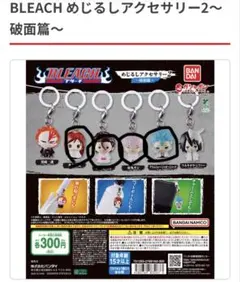 BLEACH めじるしアクセサリー2～破面篇～