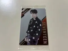 SEVENTEEN ステッカー ウォヌ
