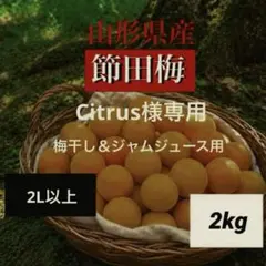Citrus様専用！！木成り完全完熟❗️山形県産『節田梅』2L以上2kg