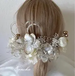 Item thumbnail for item 3b4233fa-6ee4-482e-b4dd-c447ccacff64