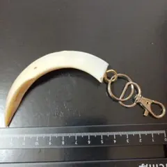イノシシの牙　キーホルダー②