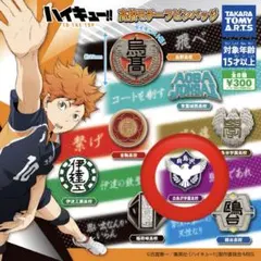 【新品未開封】ハイキュー !! 高校モチーフ ピンバッジ 白鳥沢