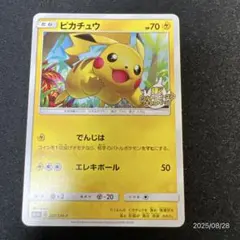 2025年最新】輝くウルトラビーストキャンペーンの人気アイテム