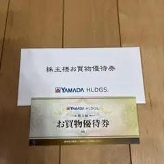 YAMADA HLDGS. ヤマダデンキ　お買物優待券 6枚セット3,000円分