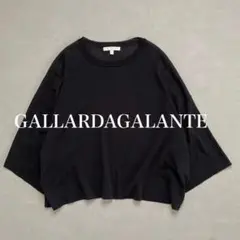 ガリャルダガランテ【Drawing Numbers】クロップドニットTee