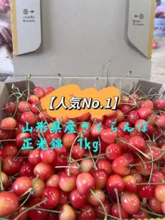 山形県産さくらんぼ　正光錦　訳あり品　1kgのサムネイル