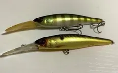 Item thumbnail for item d0d5dae3-8f5d-434d-8ece-640d296db985